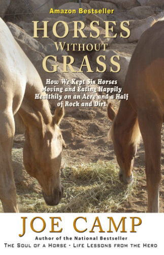 HorsesWithoutGrass-Cover-Print-R1.indd