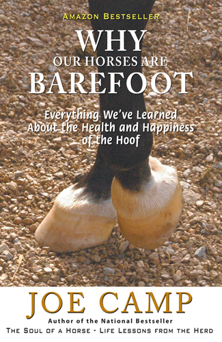 WhyOurHorsesAreBarefoot-Cover-Print-R1.indd