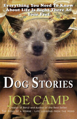DogStoriesCover2a325