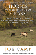 Horses Were Born-Grass