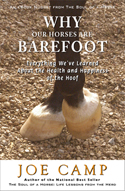 Why Barefoot?