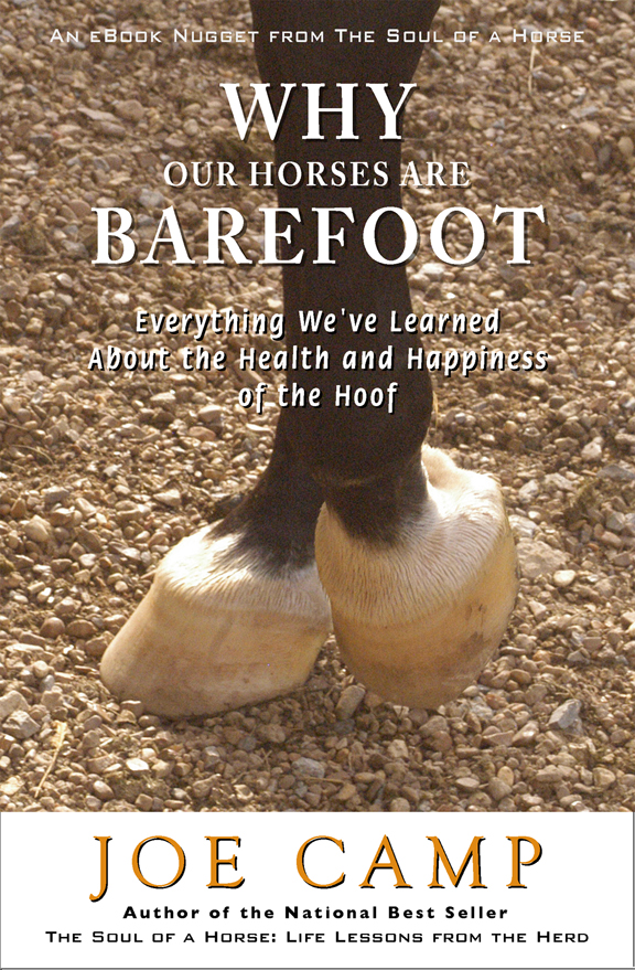 Why Our Horses Are Barefoot - Everything We've Learned About the Health and Happiness of the Hoof - Personally Inscribed