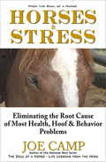 Horses & Stress